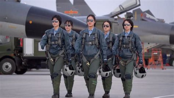 20/20: Who Is Chesley Sullenberger Wife Lorrie Sullenberger? Air force Fighter Pilot In-Depth Interview