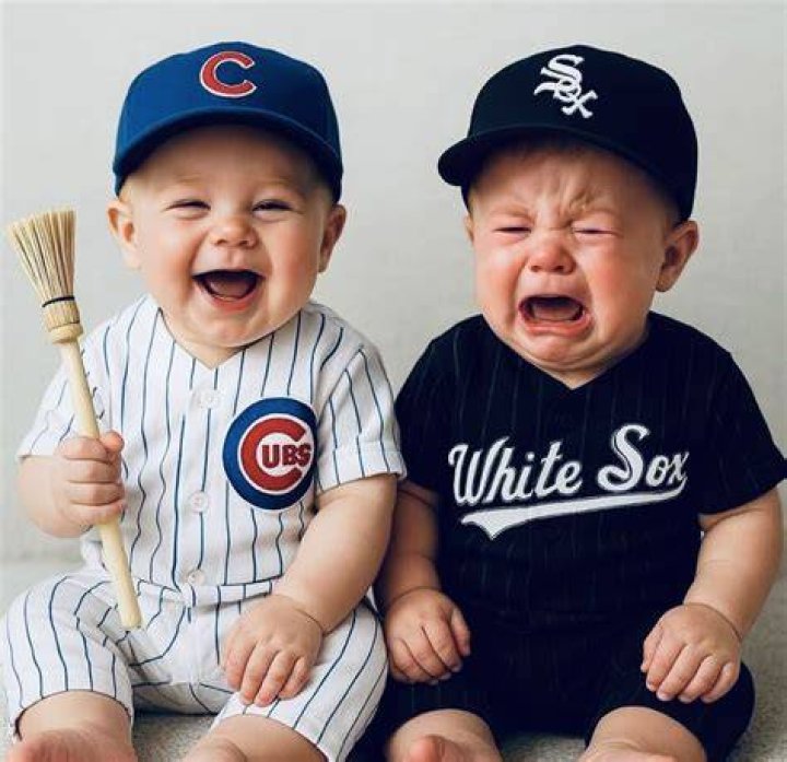 Cubs: Understanding Baby Bears and the Famous Chicago Baseball Team