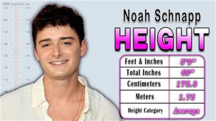 Noah Schnapp Height, Biography, Wiki, Age, Girlfriend, Net Worth