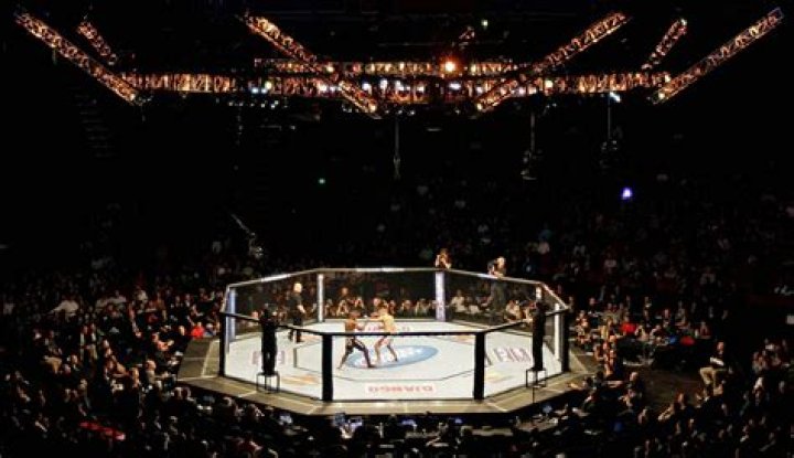 UFC: Inside the World's Premier Mixed Martial Arts Organization